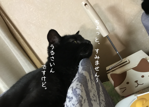 a0216583_20474070.png