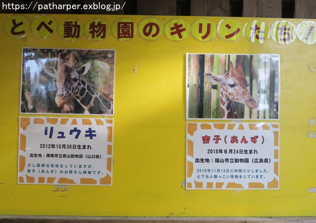 ２０１８年１２月　とべ動物園　その２_a0052986_23384061.jpg