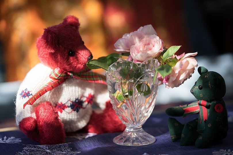 12月の薔薇_d0353489_20003738.jpg