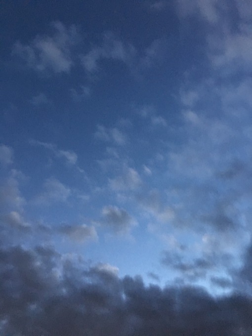 b0042190_22364937.jpeg
