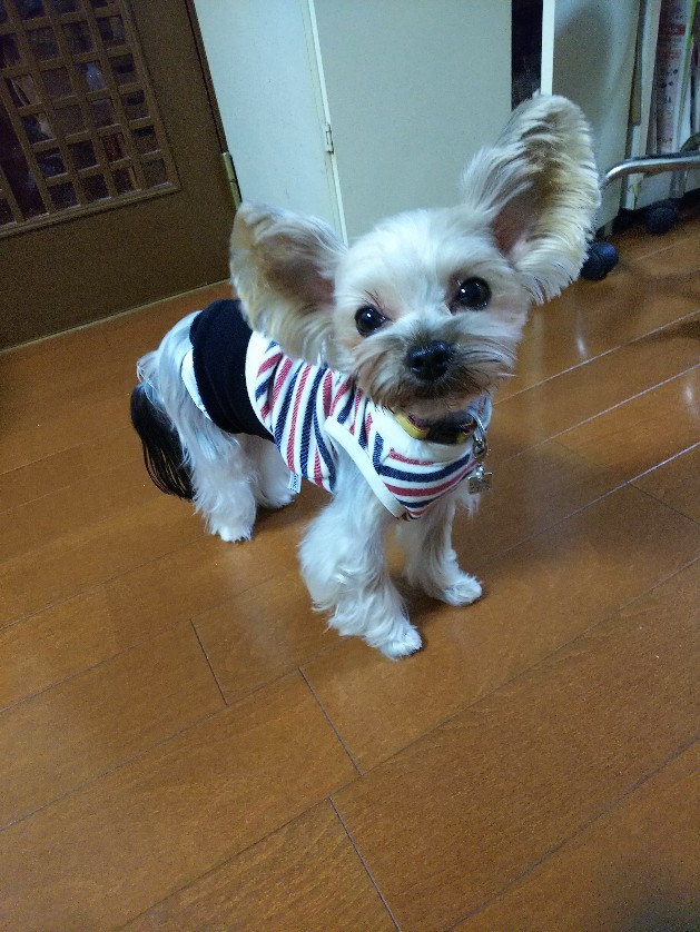 c0191390_21022743.jpg