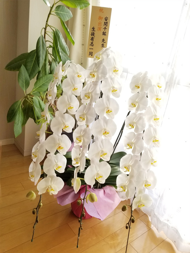 終演…ありがとうございました。_d0224894_17254481.jpg