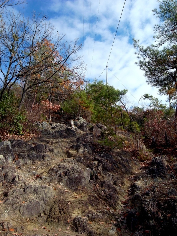 龍ノ口山に登る！の巻_f0325295_14510910.jpg