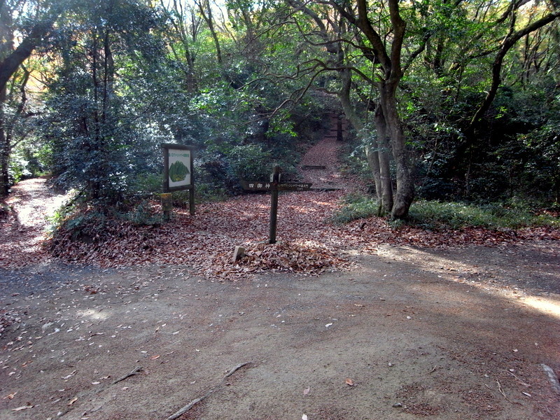 f0325295_14511897.jpg