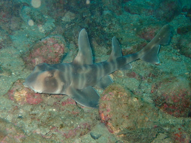 e0115199_14042048.jpg