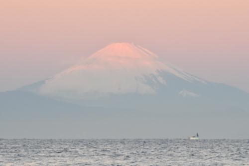 ２０１８年１２月１４日(金)　神奈川県　荒崎と立石_f0375202_17144892.jpg