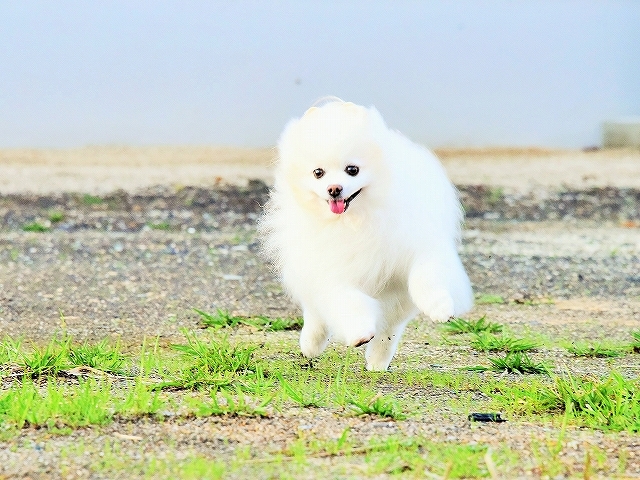 予定はぎっしり_d0360206_00093082.jpg