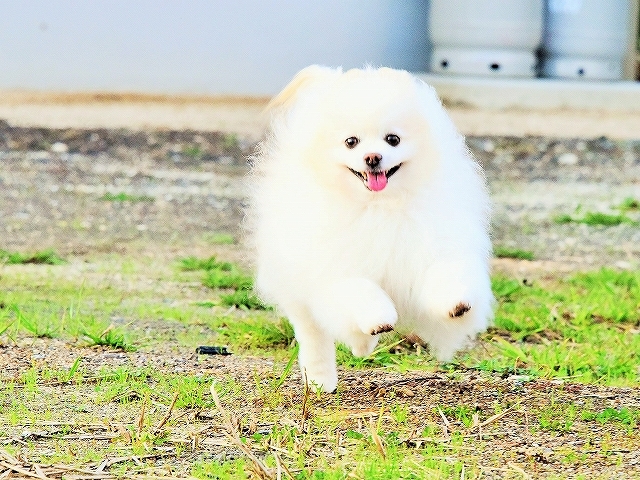 予定はぎっしり_d0360206_00095021.jpg
