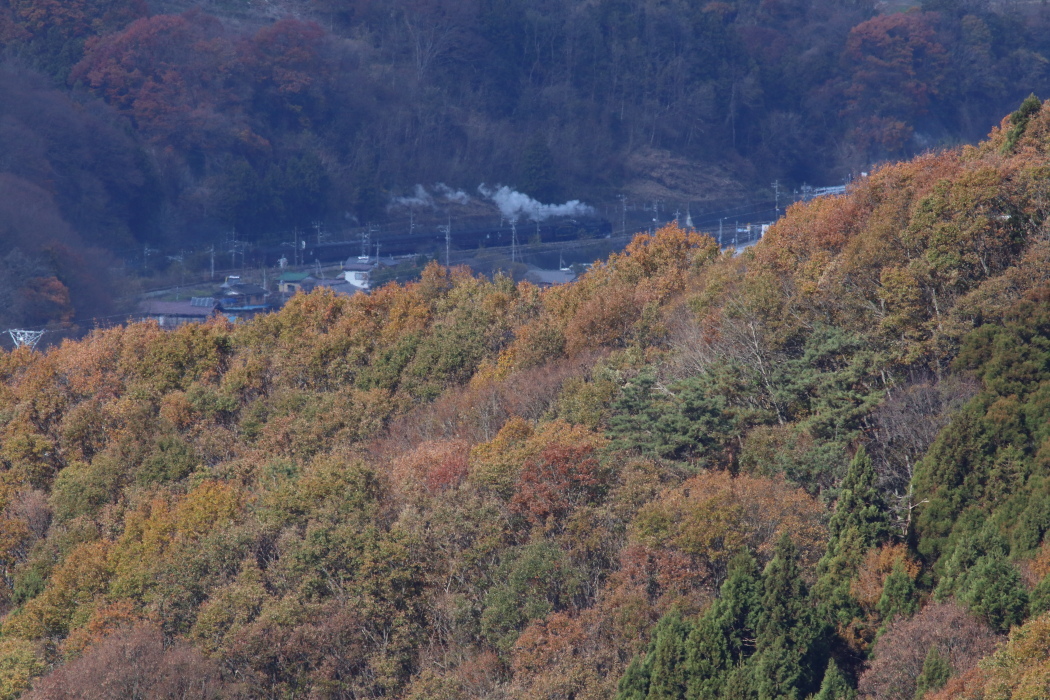 翳っちゃった… - 上越線・2018年紅葉 -_b0190710_21374452.jpg