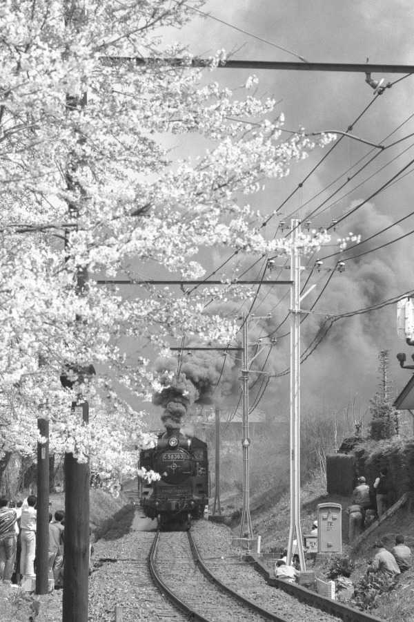 桜咲く中を黒煙もくもくと - 秩父・1988年 -_b0190710_21411658.jpg