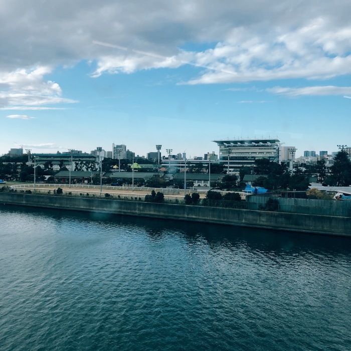 d0138811_14442250.jpeg