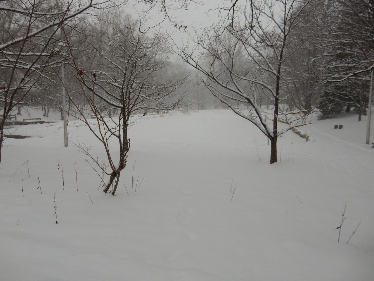 c0025115_21512752.jpg