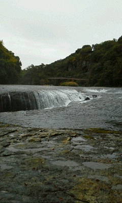 c0074721_16112527.jpg