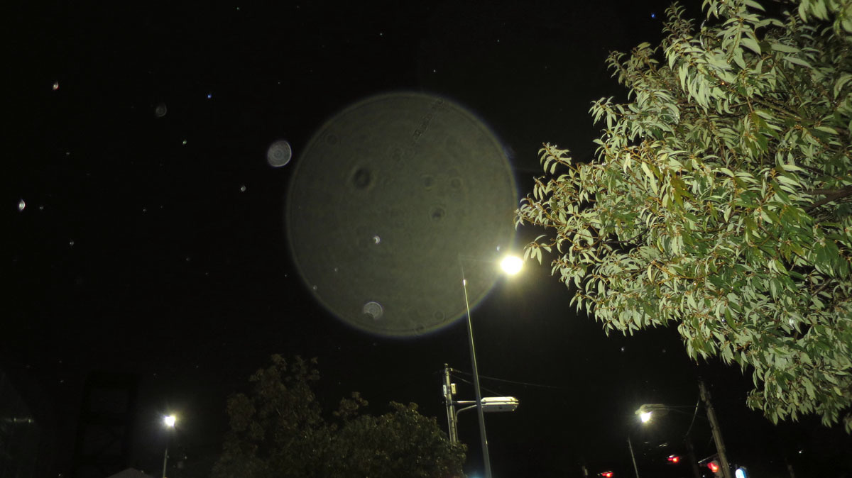 c0331825_07572575.jpg
