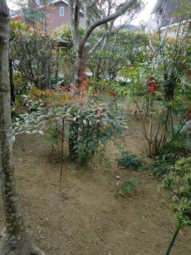 e0190625_06464297.jpg