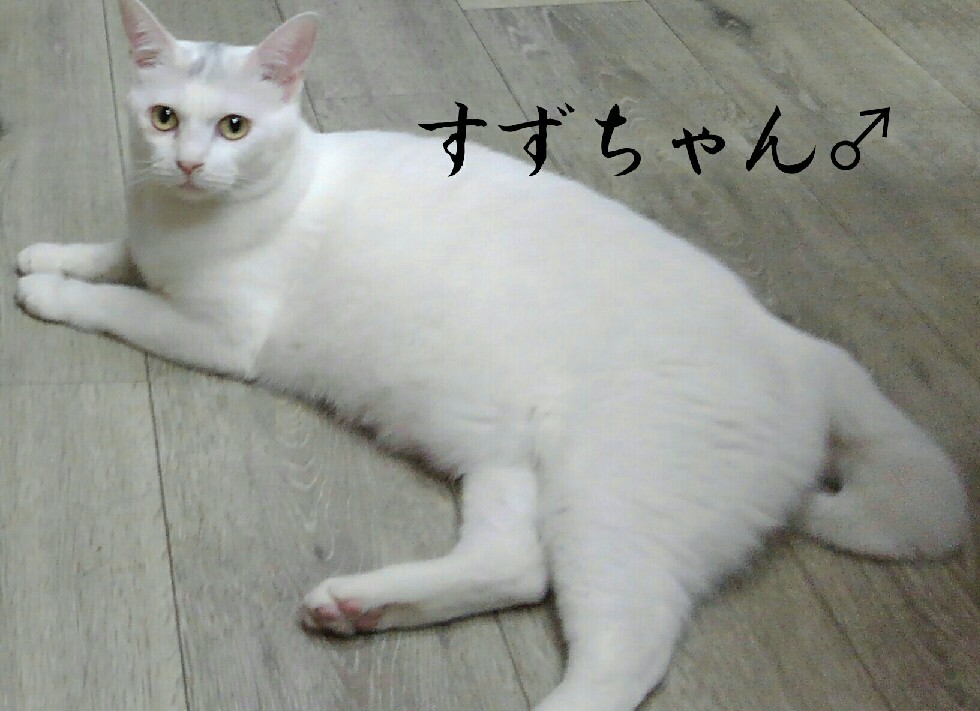 e0338831_20182012.jpg