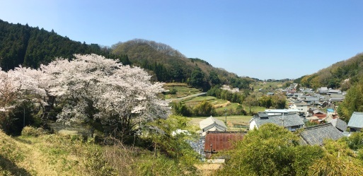 春に_b0405445_22293156.jpeg