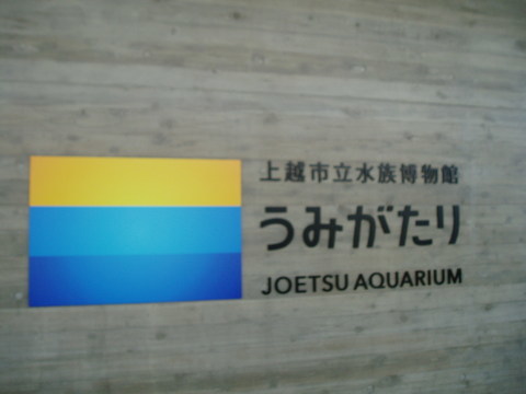c0017651_22161732.jpg