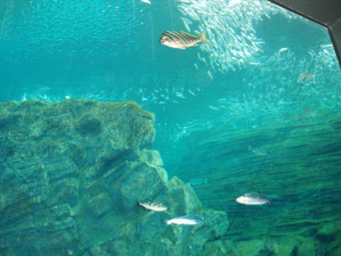 c0017651_22170009.jpg