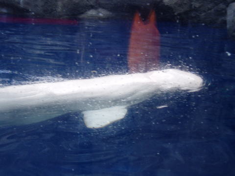 c0017651_22181532.jpg