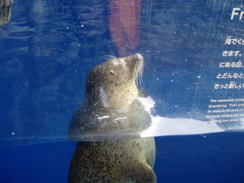 c0017651_22204168.jpg