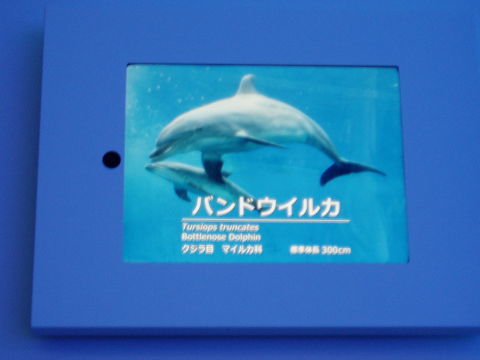 c0017651_22212513.jpg