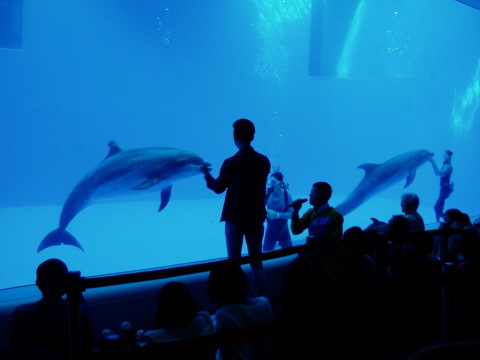 c0017651_22223742.jpg