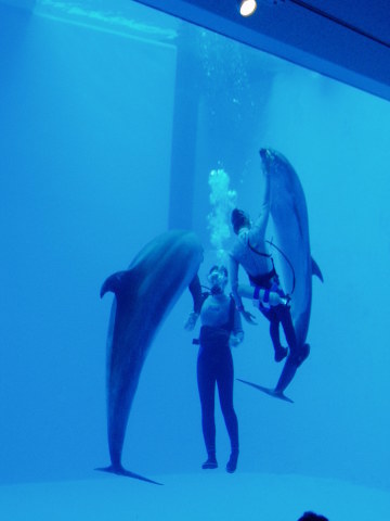 c0017651_22231319.jpg