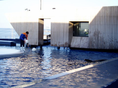 c0017651_22240901.jpg