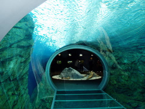 c0017651_22253944.jpg
