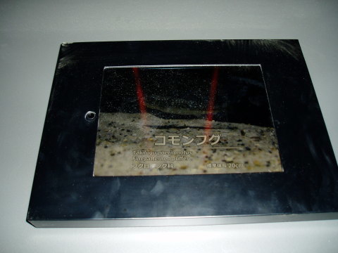 c0017651_22261158.jpg