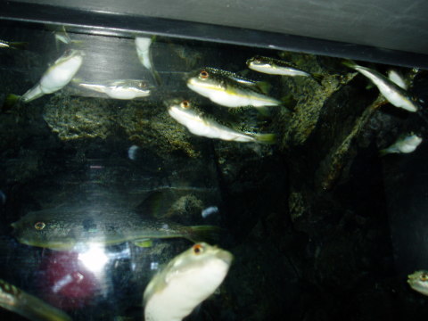 c0017651_22262994.jpg