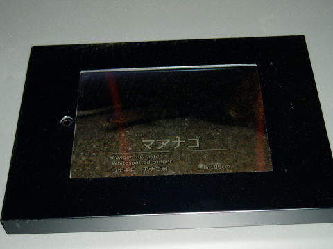 c0017651_22265247.jpg