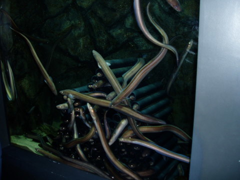 c0017651_22271174.jpg