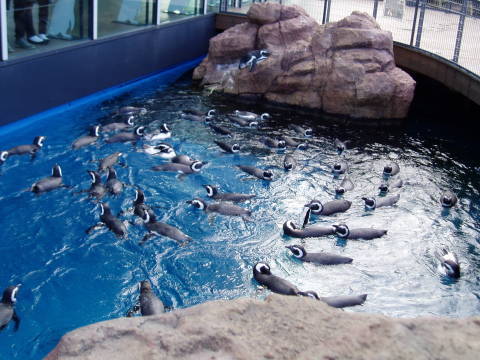 c0017651_22275075.jpg