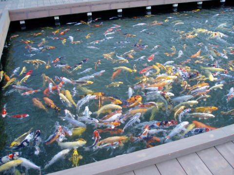 c0017651_22305769.jpg