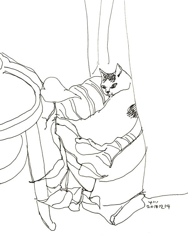 12 14のスケッチブック No 211 ミヤザーナツのブログ