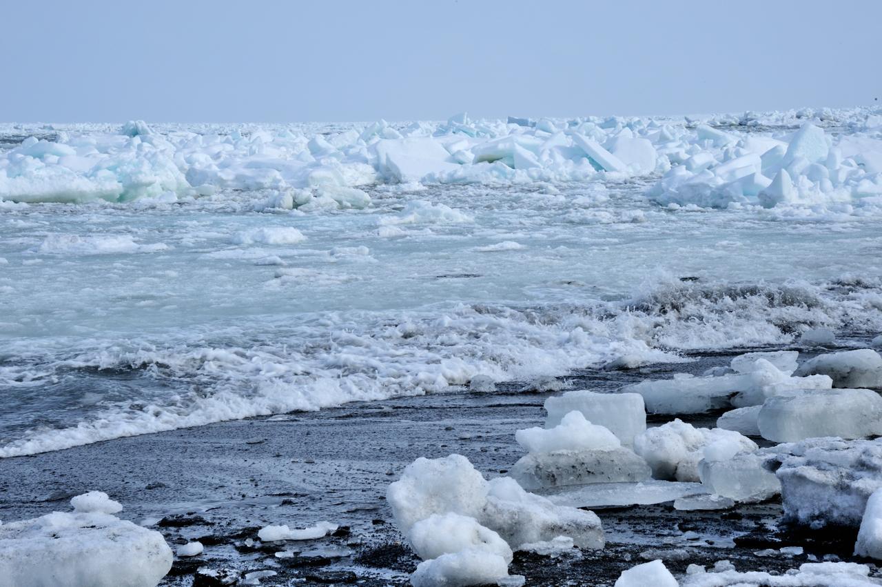 流氷を求めての撮影旅_c0246358_17090639.jpg