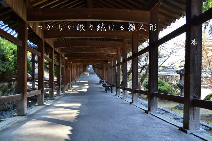 f0379160_12451177.jpg
