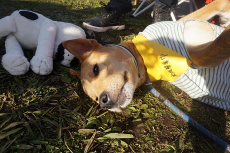 c0372561_03145420.jpg