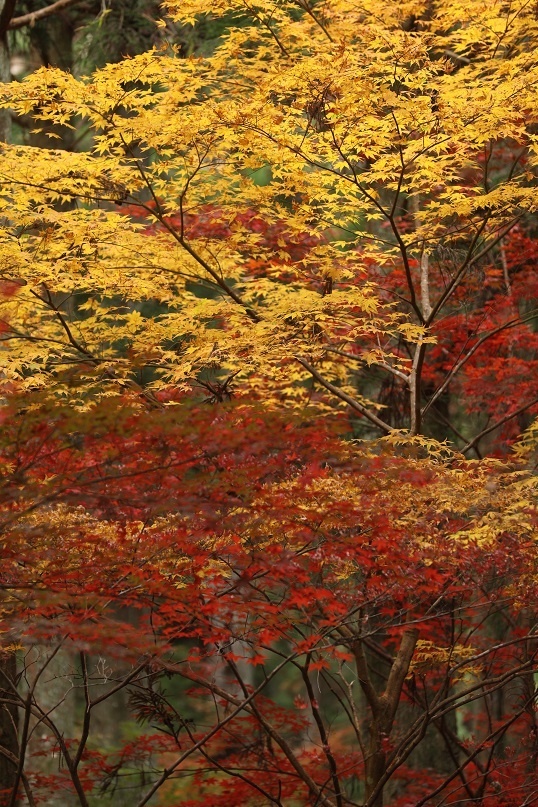 e0304170_19574766.jpg