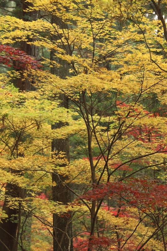 e0304170_19575606.jpg