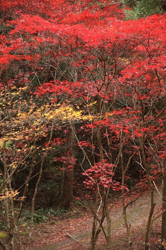 e0304170_19580525.jpg