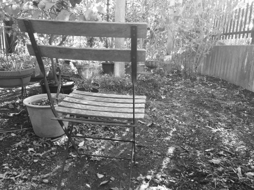 e0272081_08524213.jpeg