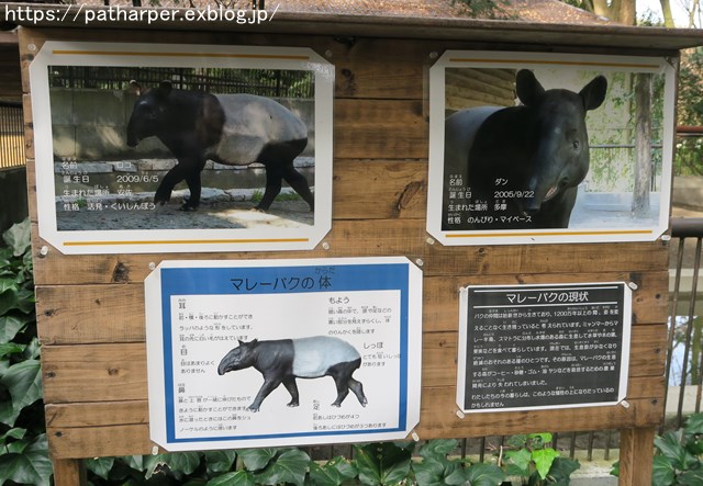 ２０１８年１２月　とべ動物園　その３_a0052986_013049.jpg