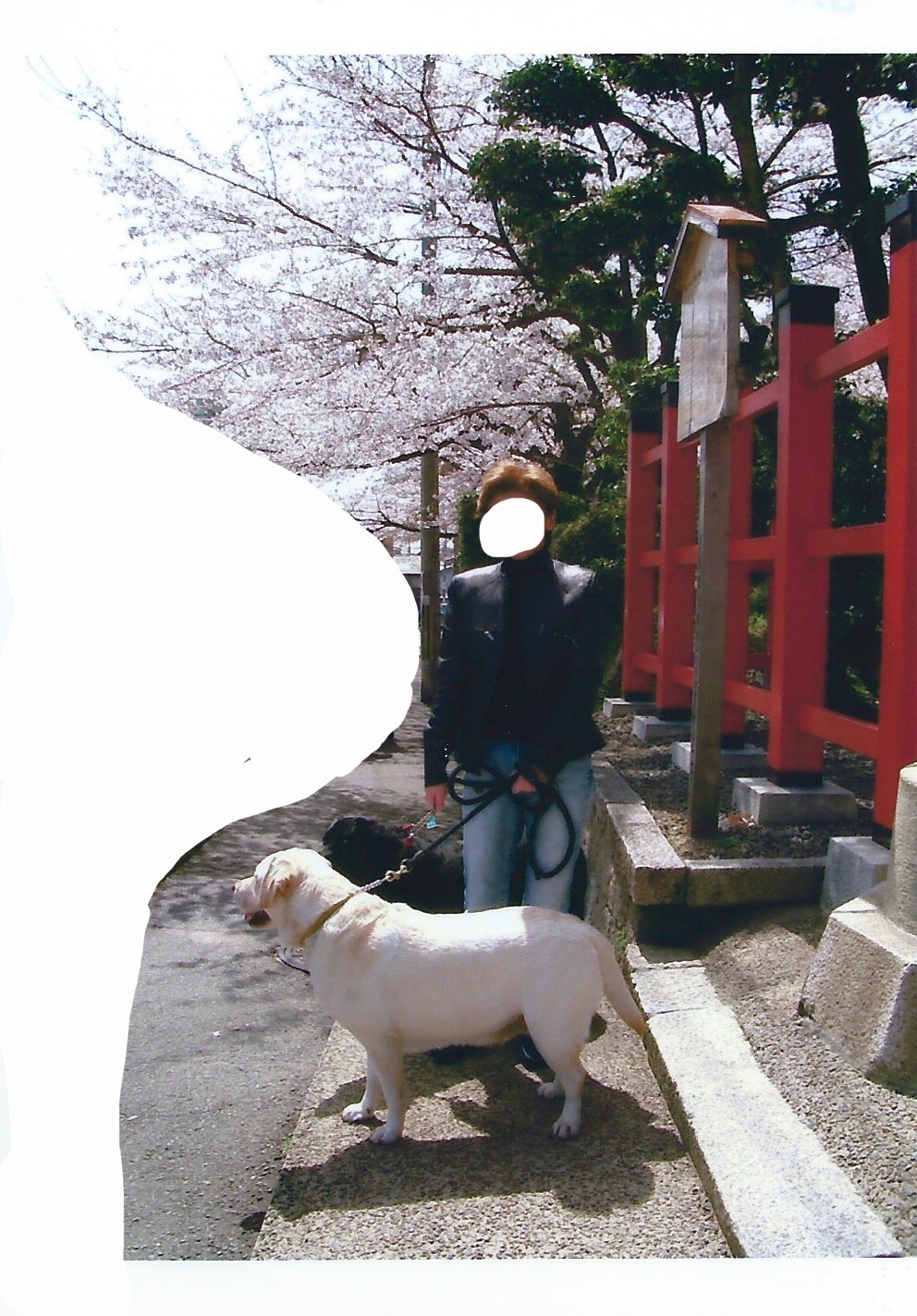 f0347891_00223129.jpeg