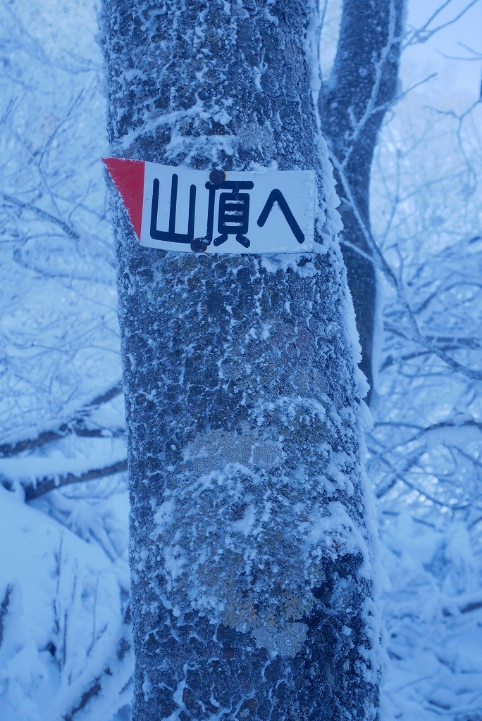 風不死岳北尾根、2018.12.13ーその1ー_f0138096_17291312.jpg