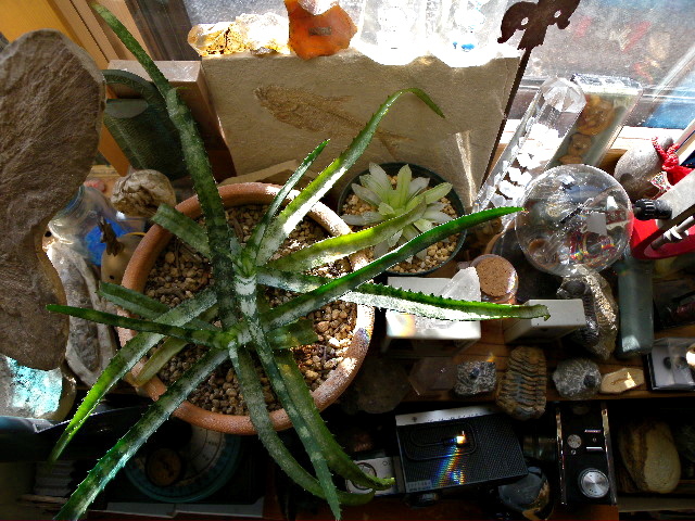 a0199297_19314189.jpg
