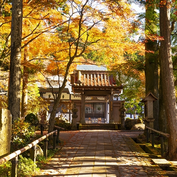 18年箱根長安寺の紅葉 エーデルワイスブログ