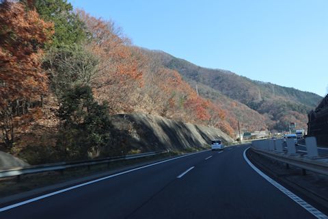無事に東京に帰って来ました♪_c0090198_19151502.jpg